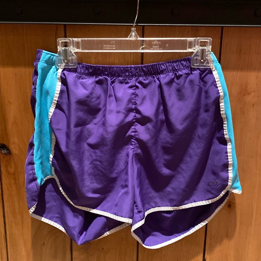 Champion purple and blue shorts